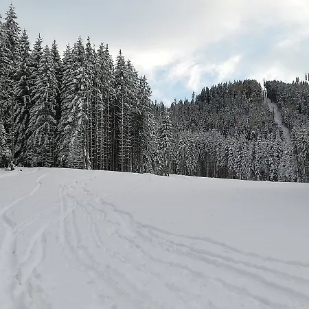 Ferienwohnung Mit Blick Auf Die Buchensteinwand Hochfilzen Exterior photo