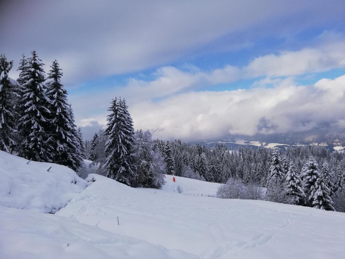 Appartement Mit Blick Auf Buchensteinwand Hochfilzen