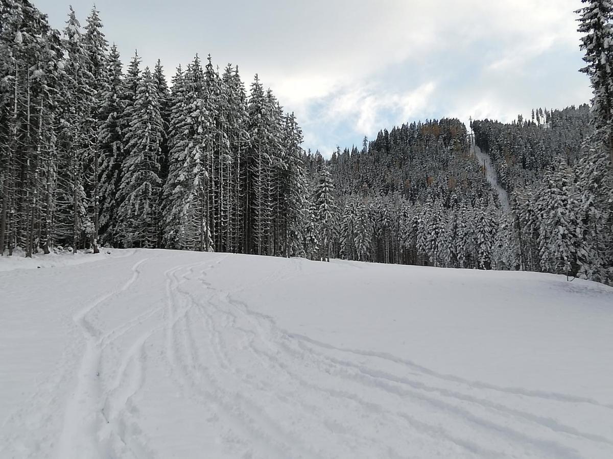 Mit Blick Auf Buchensteinwand